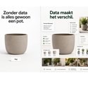 beschrijving