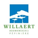 beschrijving
