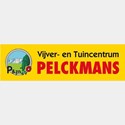 beschrijving